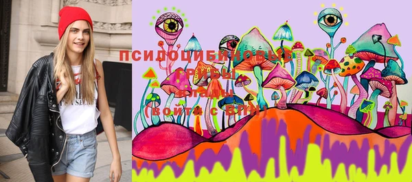 дмт Алексин