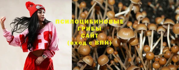 дмт Алексин