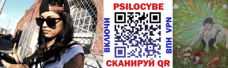 купить  цена  Ардон  Галлюциногенные грибы Magic Shrooms 